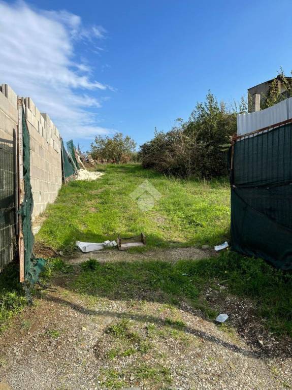 immagine annuncio 2 di 8