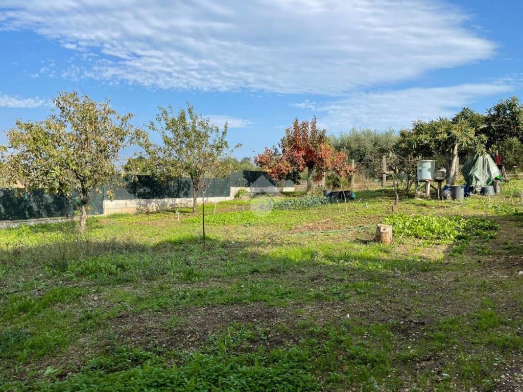 immagine annuncio 3 di 8