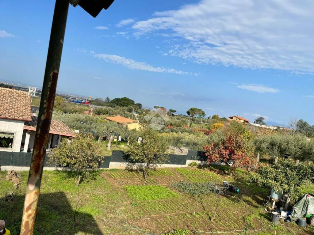 immagine annuncio 4 di 8