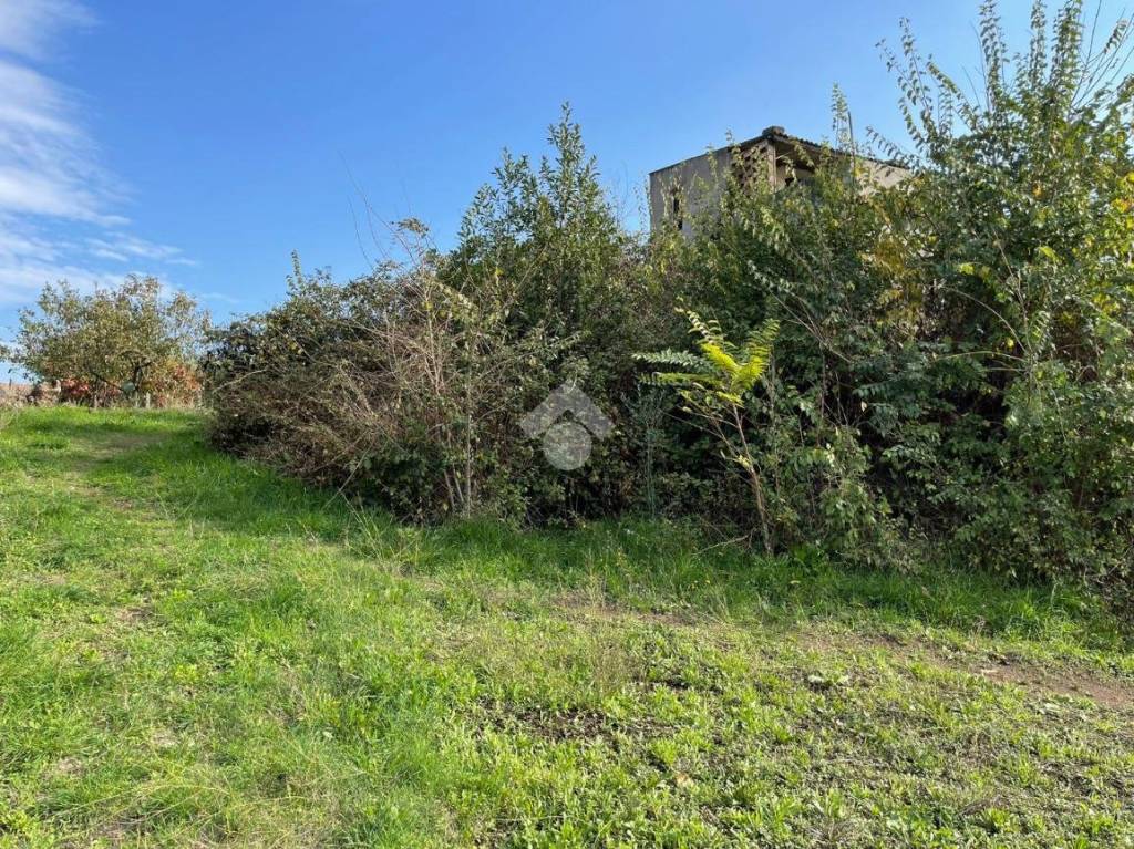 immagine annuncio 5 di 8