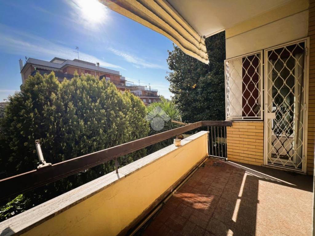 immagine annuncio 1 di 6