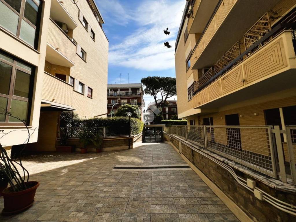 immagine annuncio 2 di 6