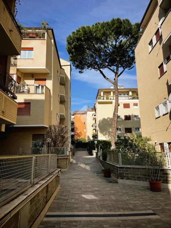 immagine annuncio 4 di 6