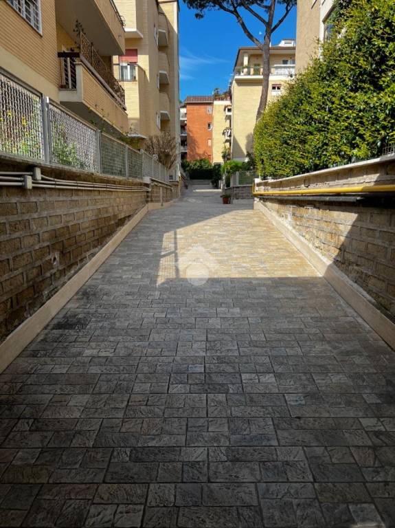 immagine annuncio 5 di 6