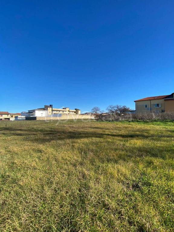 immagine annuncio 1 di 6