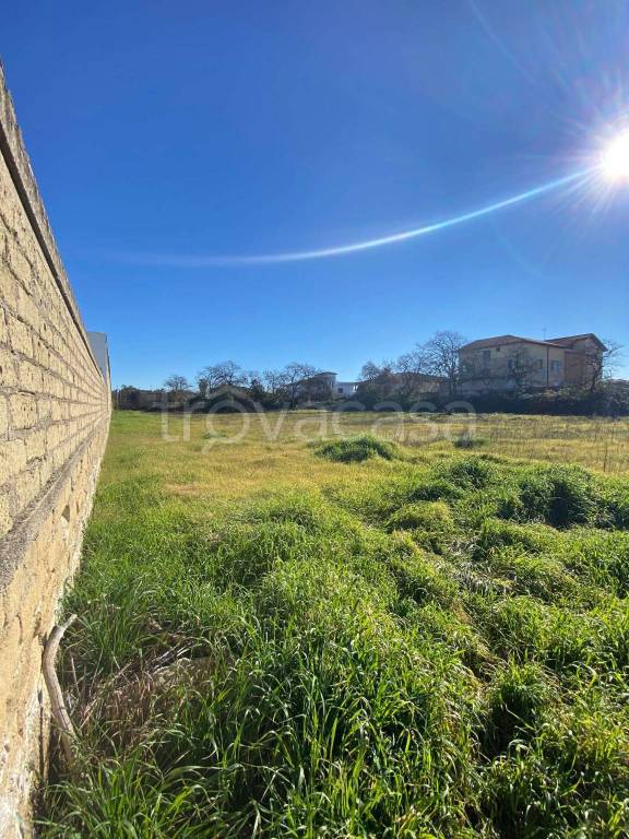 immagine annuncio 4 di 6