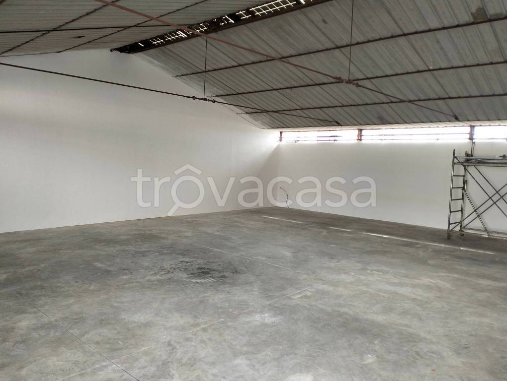 immagine annuncio 2 di 6