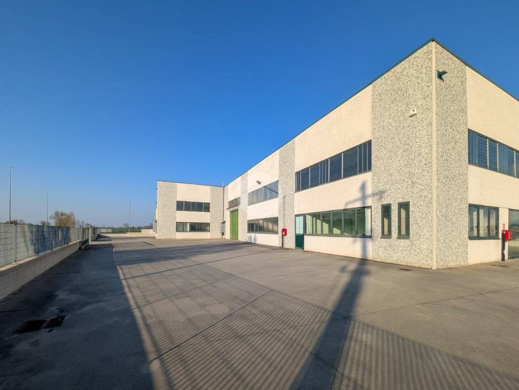 immagine annuncio 5 di 15