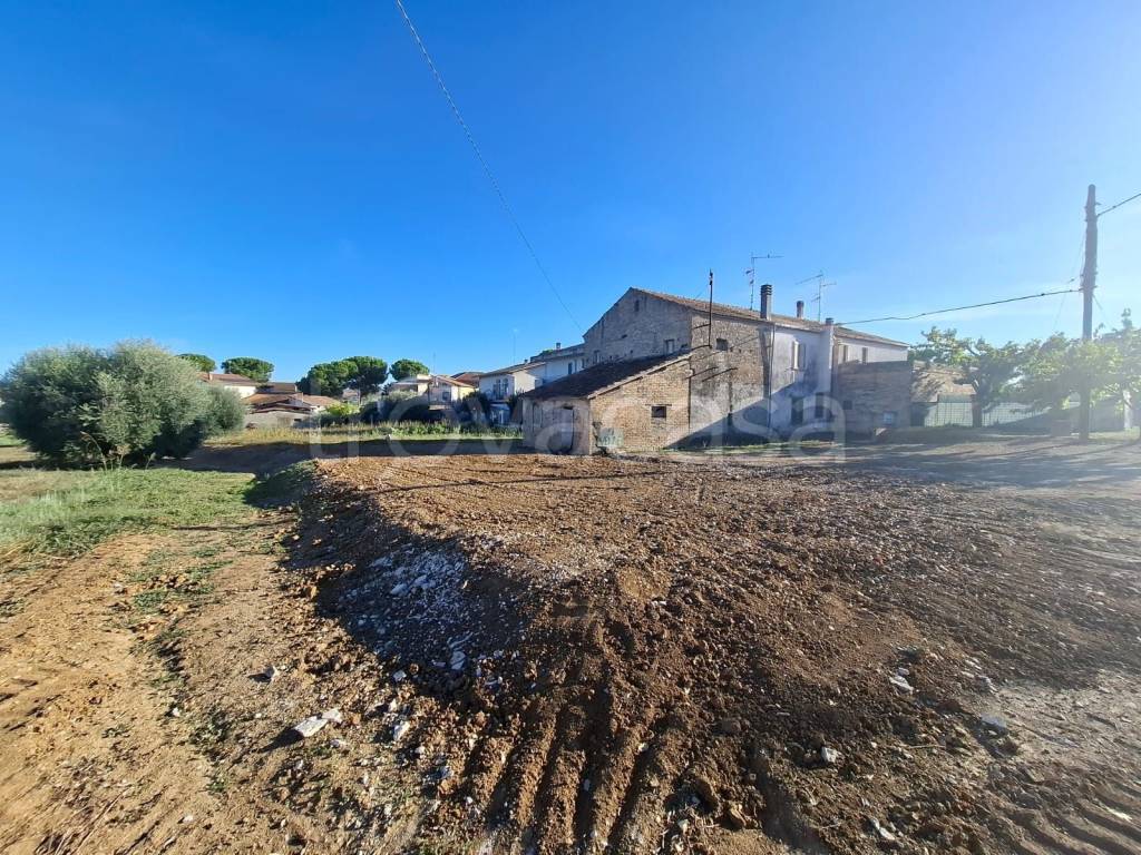 immagine annuncio 4 di 8