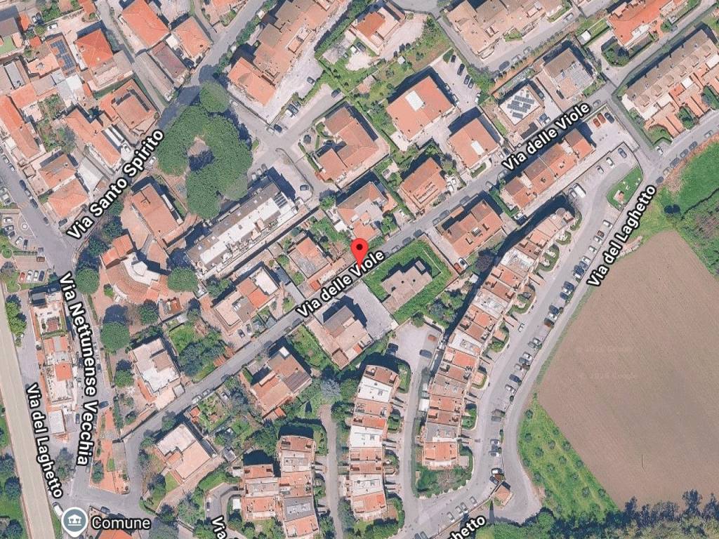 immagine annuncio 2 di 4