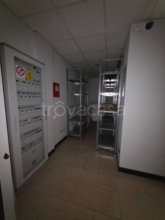 immagine annuncio 7 di 13