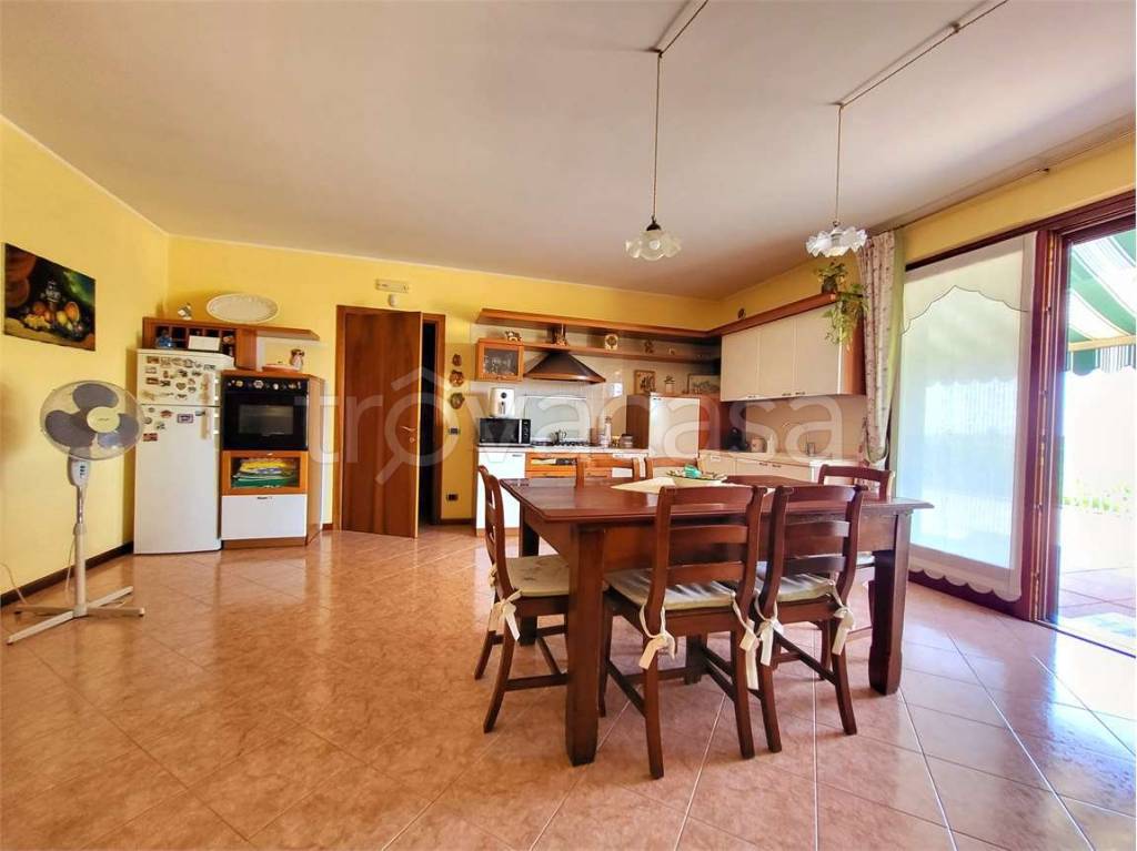 immagine annuncio 11 di 15