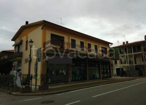 immagine annuncio 2 di 14