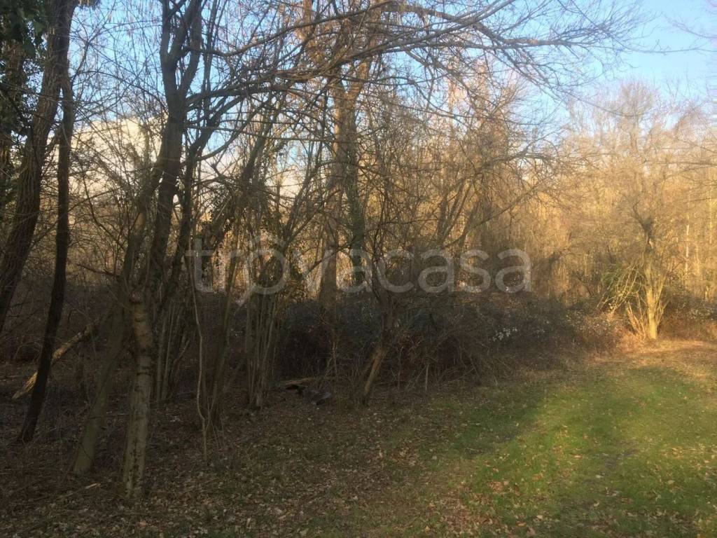 immagine annuncio 1 di 4