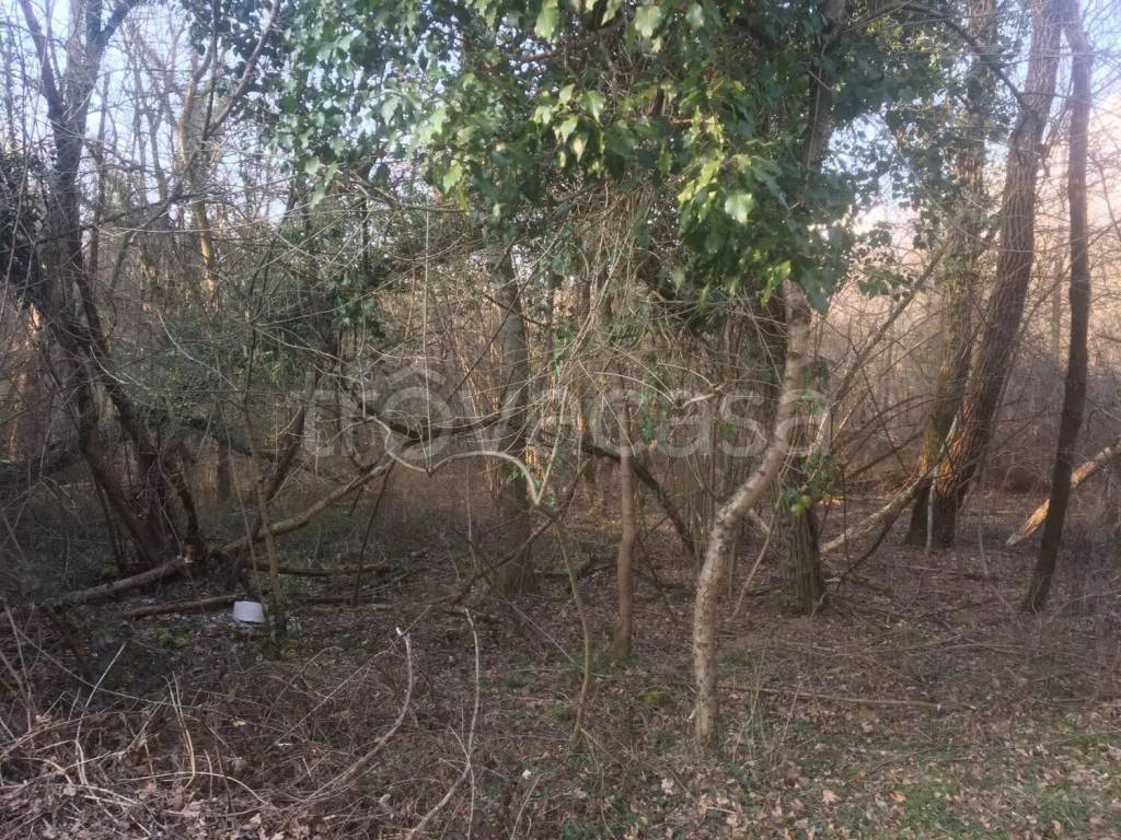 immagine annuncio 2 di 4