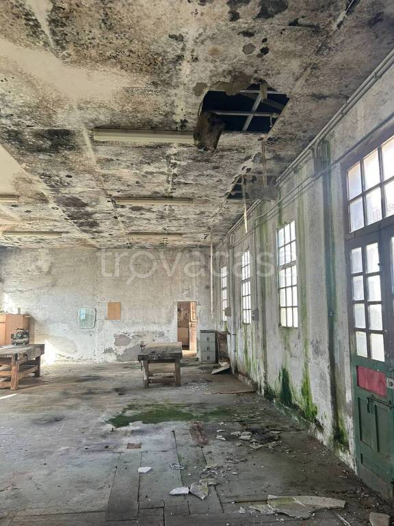 immagine annuncio 2 di 4