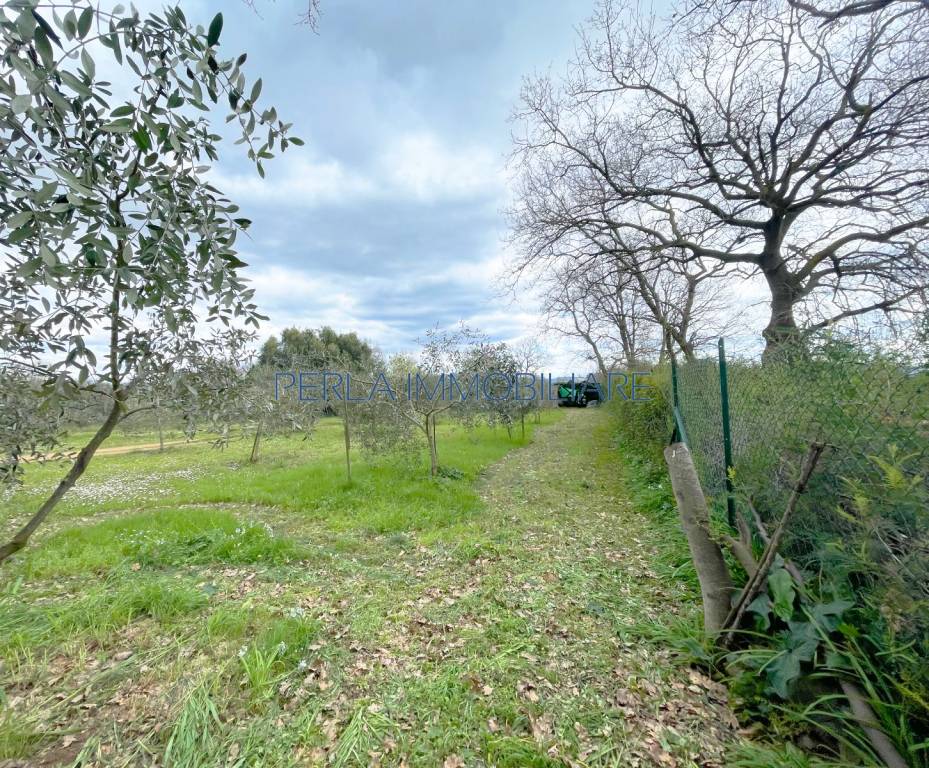 immagine annuncio 5 di 8