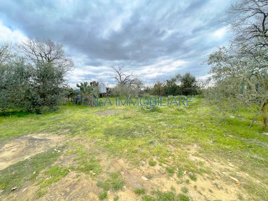 immagine annuncio 6 di 8