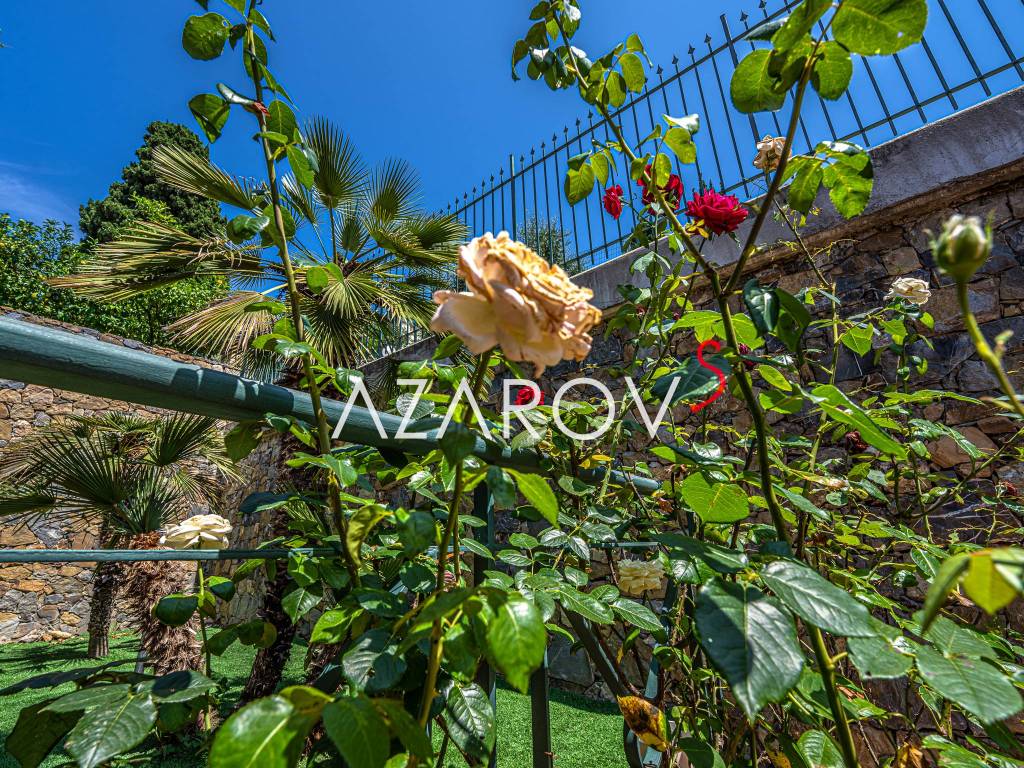 immagine annuncio 11 di 14