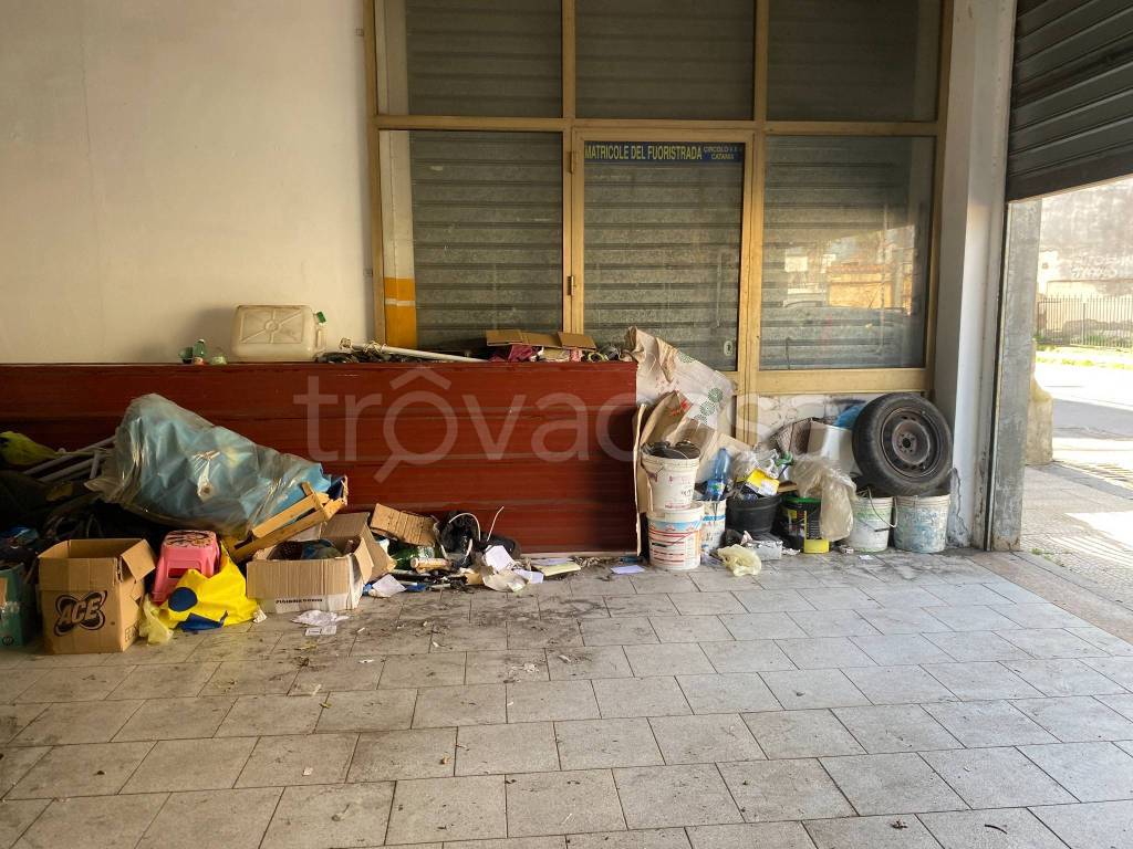 immagine annuncio 6 di 8