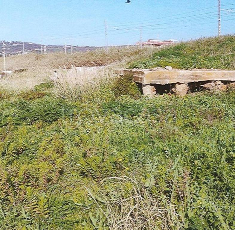 immagine annuncio 3 di 11