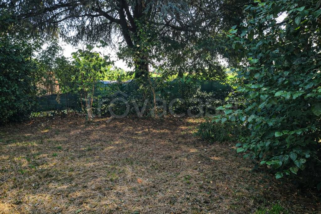 immagine annuncio 3 di 7