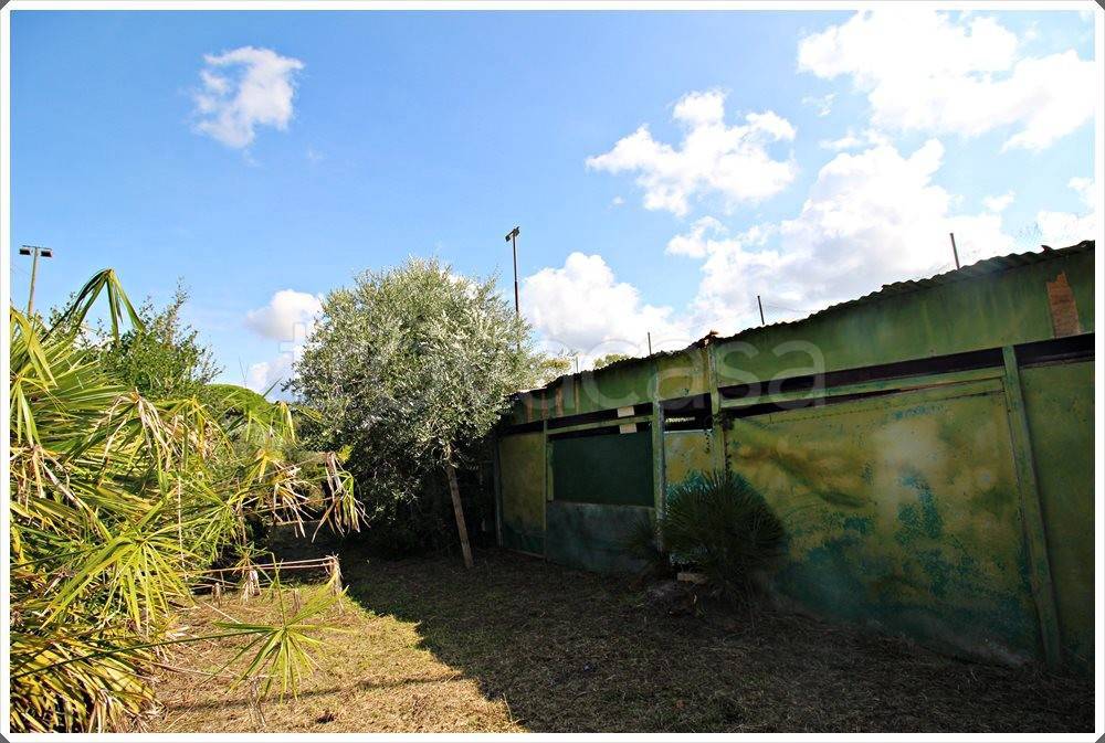 immagine annuncio 5 di 9