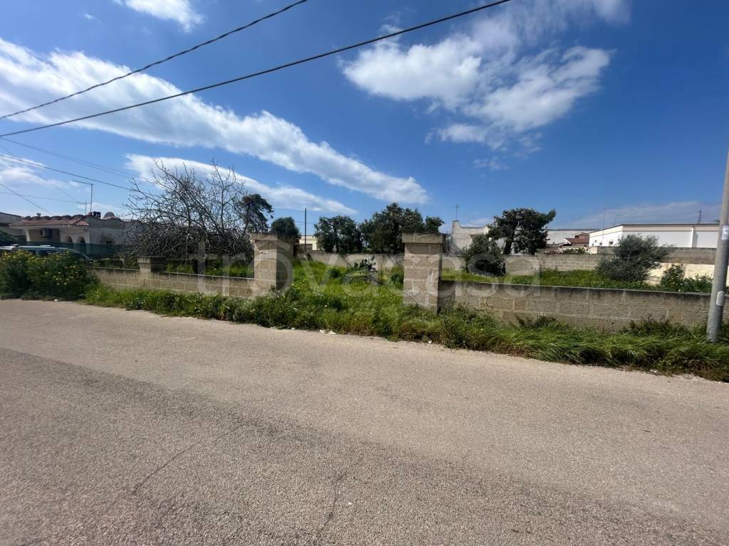 immagine annuncio 3 di 7