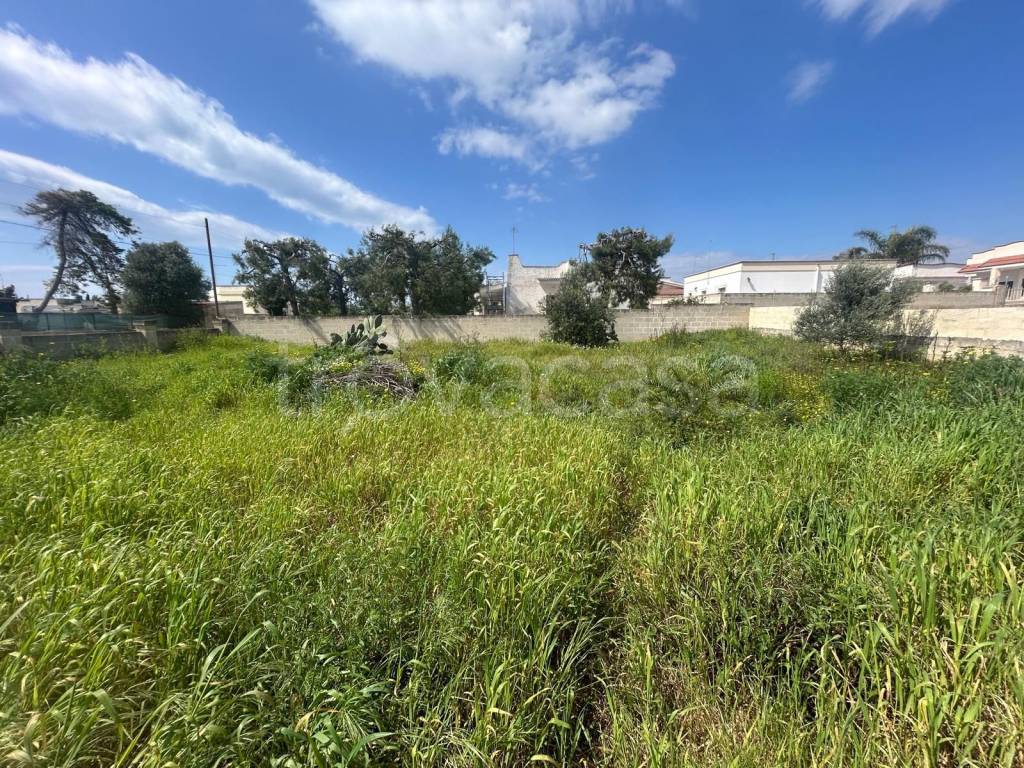 immagine annuncio 4 di 7