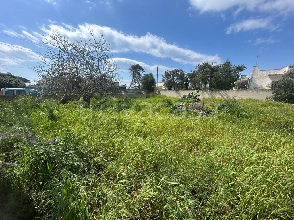 immagine annuncio 5 di 7