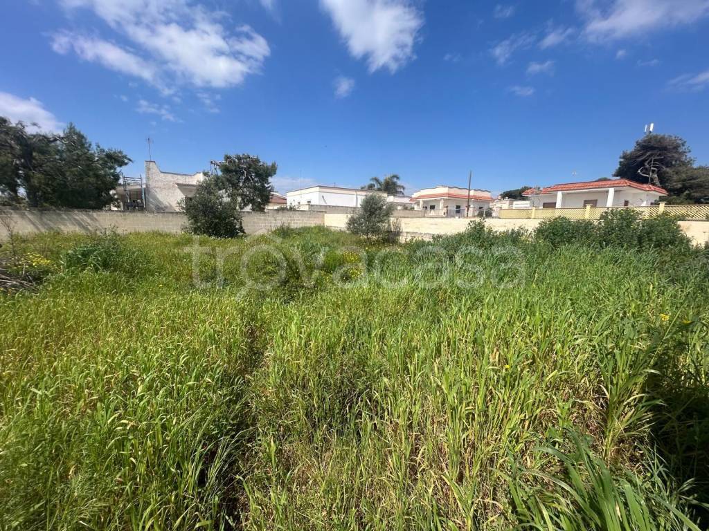 immagine annuncio 6 di 7