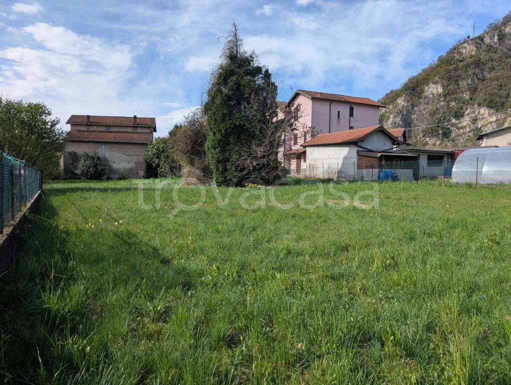 immagine annuncio 1 di 12