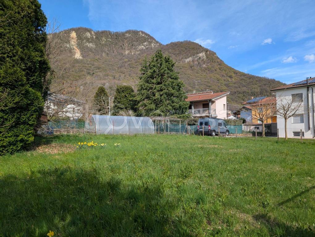 immagine annuncio 2 di 12