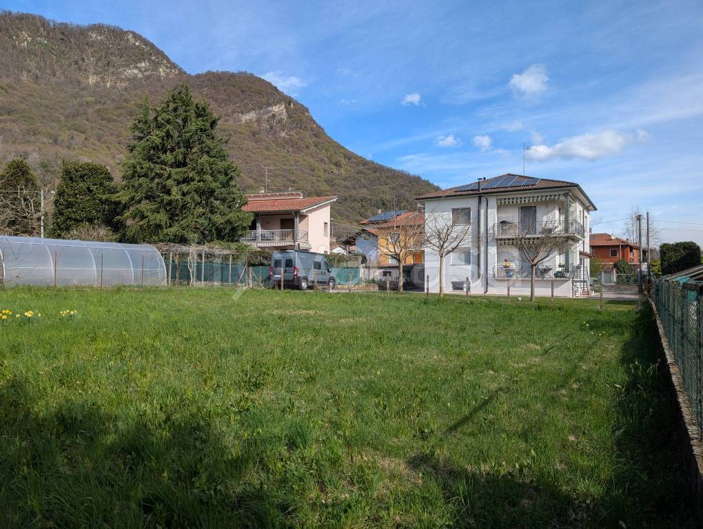 immagine annuncio 3 di 12