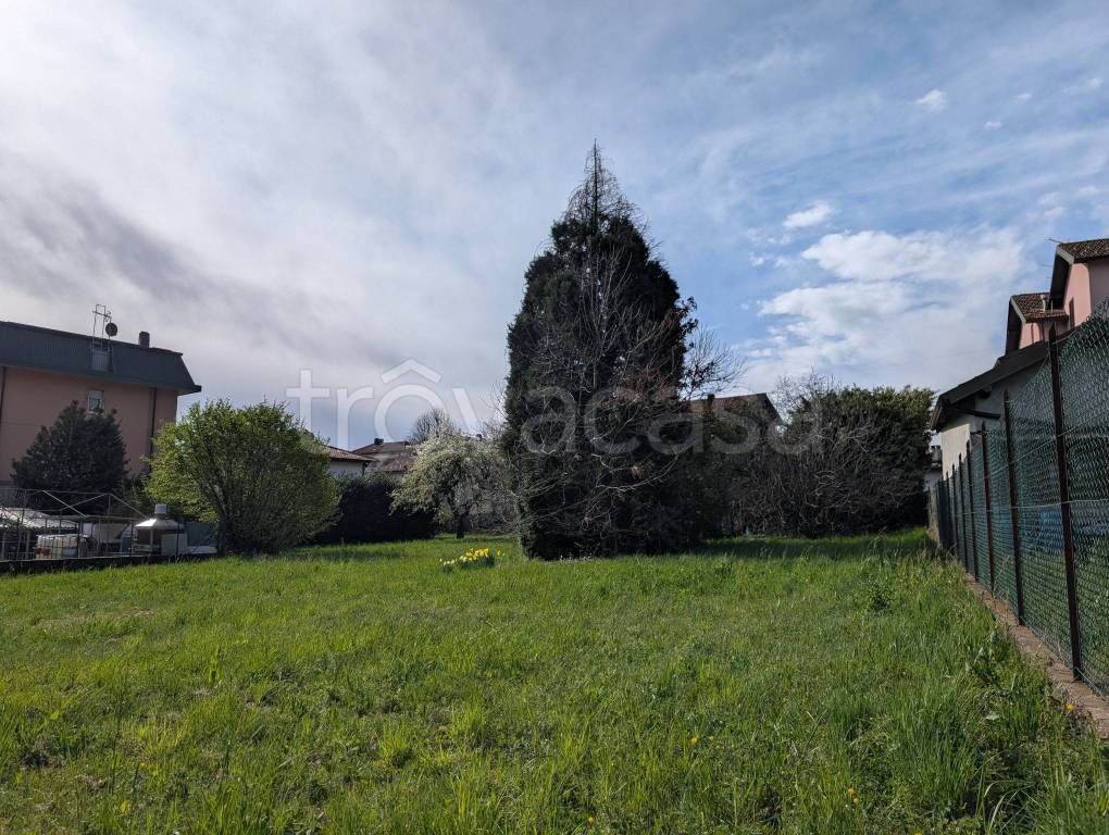 immagine annuncio 4 di 12