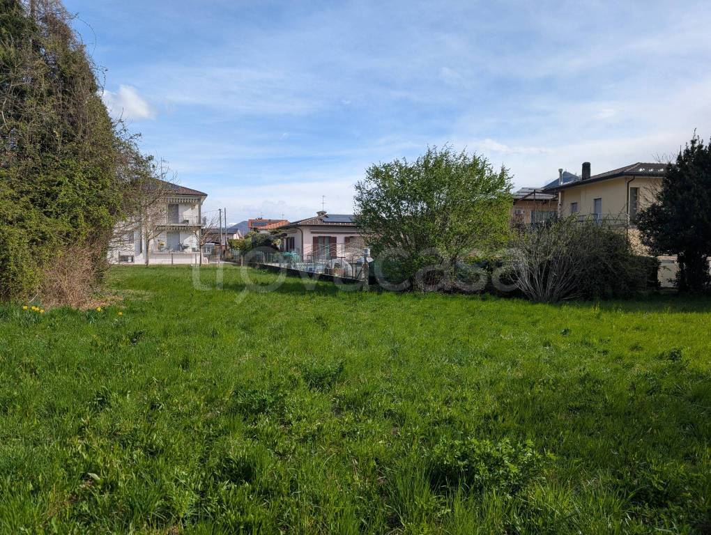 immagine annuncio 6 di 12