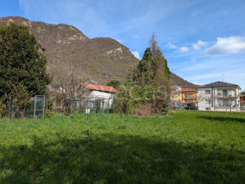 immagine annuncio 8 di 12