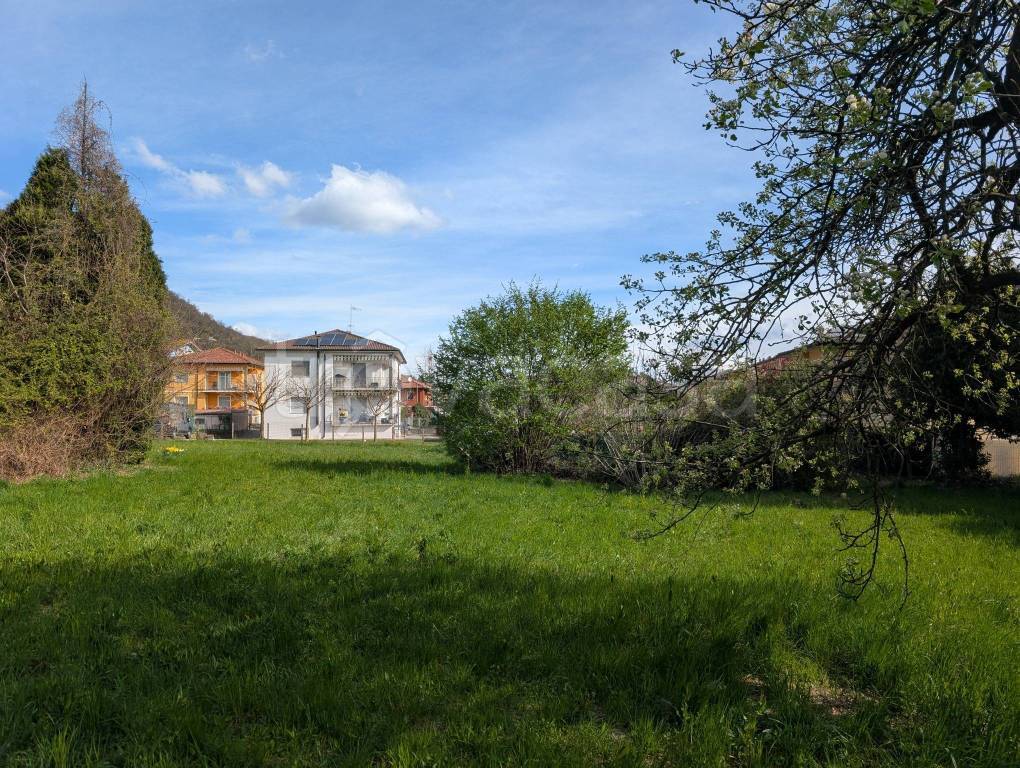 immagine annuncio 9 di 12