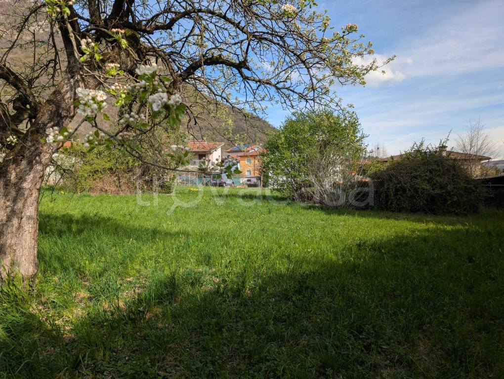 immagine annuncio 10 di 12