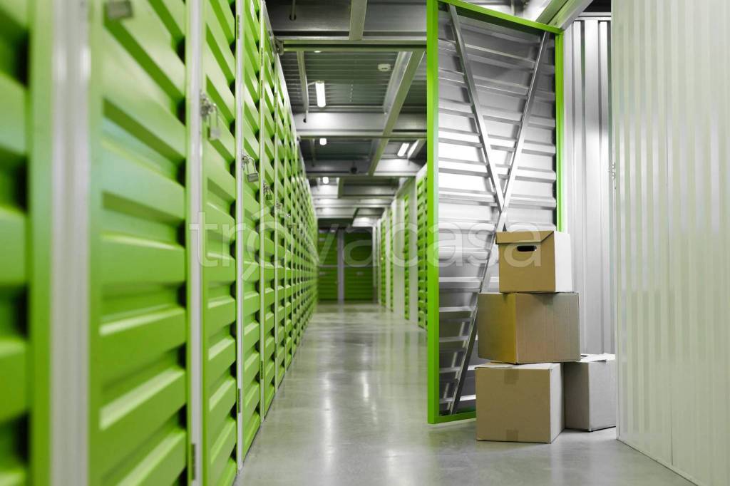 immagine annuncio 12 di 14