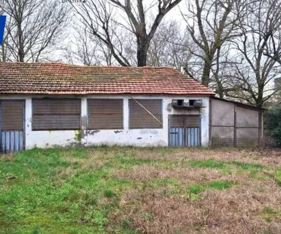 immagine annuncio 1 di 12