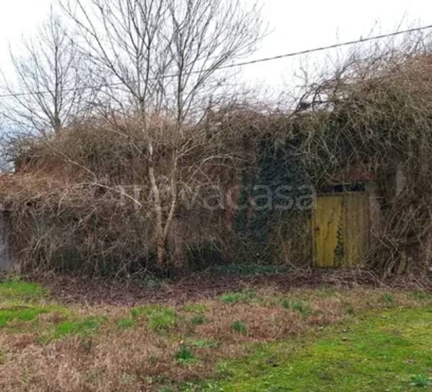 immagine annuncio 8 di 12