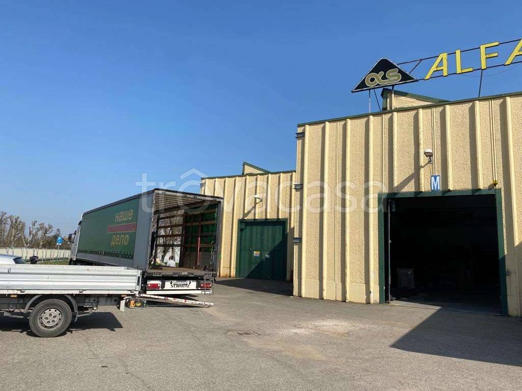 immagine annuncio 1 di 2