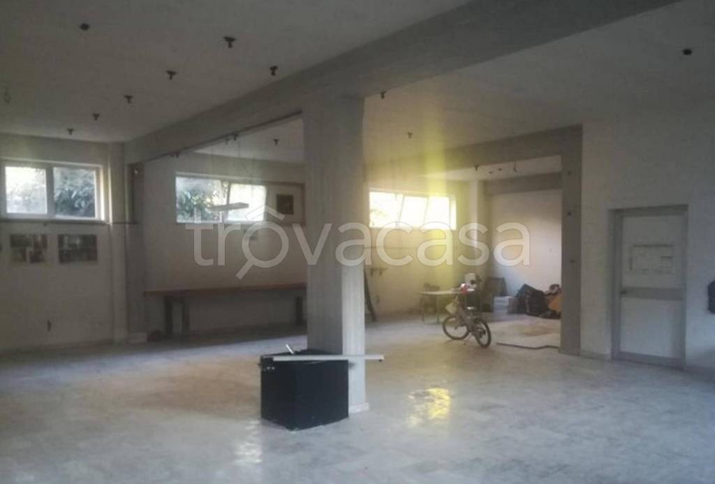 immagine annuncio 2 di 12