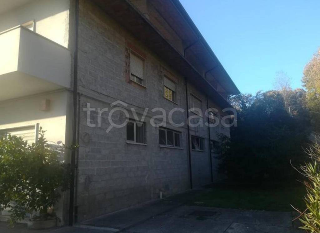 immagine annuncio 4 di 12