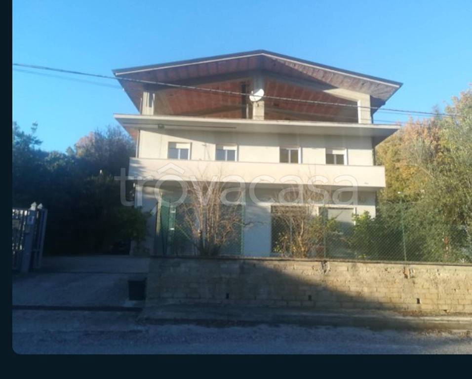 immagine annuncio 6 di 12