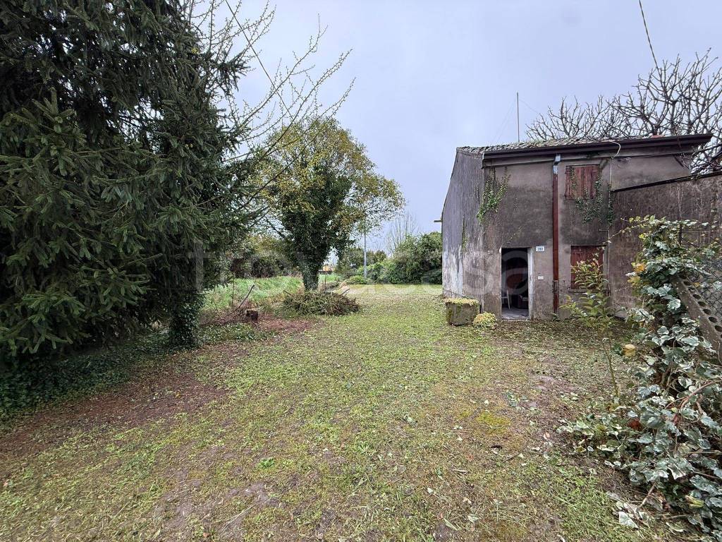 immagine annuncio 7 di 9