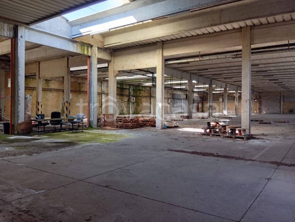 immagine annuncio 2 di 4