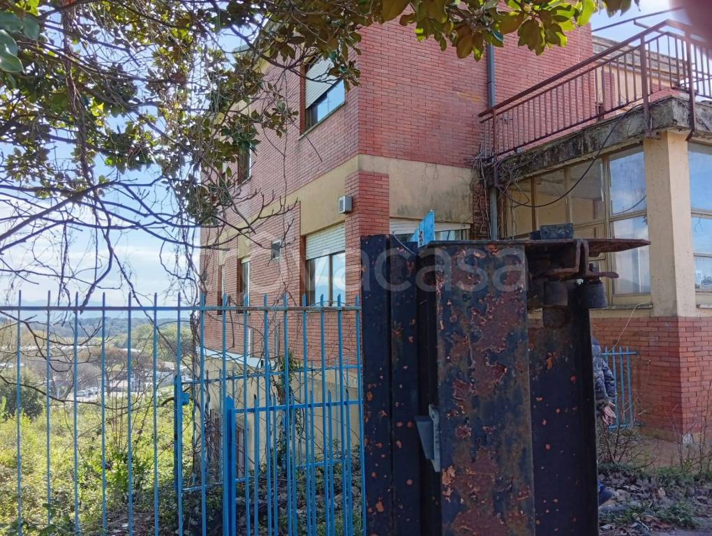 immagine annuncio 3 di 4