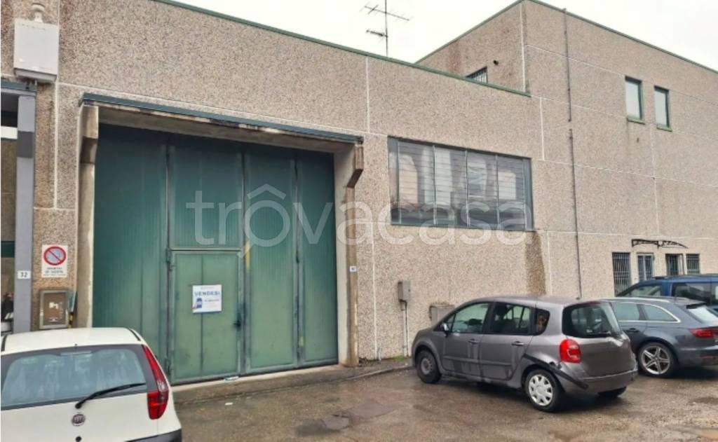 immagine annuncio 3 di 10